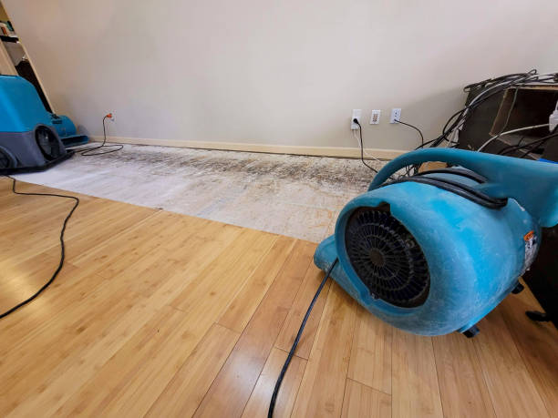 Professional Flood Damage Cleanup technician working in Georgetown, IL